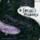 Book Review: A Small Madness by Dianne Touchell