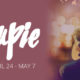 Blog Tour: Groupie by Susan Daugherty | Review