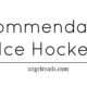 Recommendations: Books on Ice