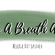 Only A Breath Apart by Katie McGarry |  Release Day Launch